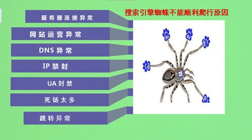 搜索引擎蜘蛛不抓同IP？剖析蜘蛛抓取運(yùn)行