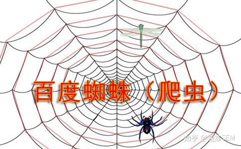 百度蜘蛛升級(jí)HTTPS抓取，如何讓蜘蛛不斷抓取你的網(wǎng)站？